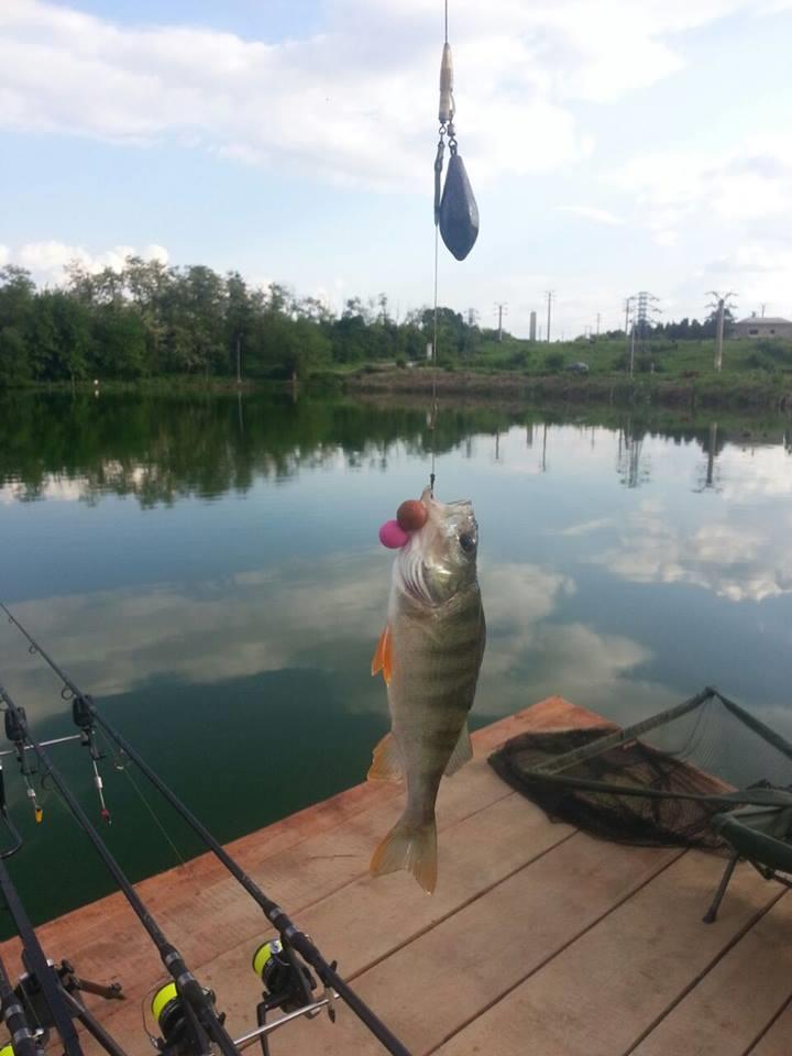 Cupa Pescarilor editia II Hermes Peris ! - :)) captura :D 